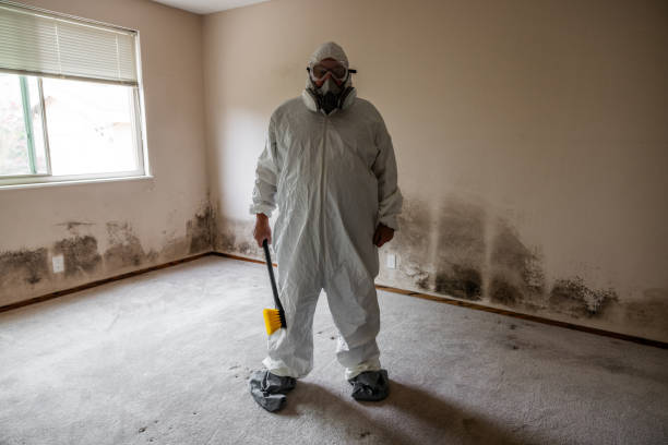 Best Certified Mold Removal  in Middletown, DE